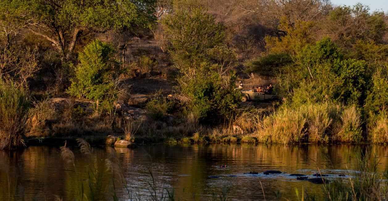 Kapama reserve game drive water
