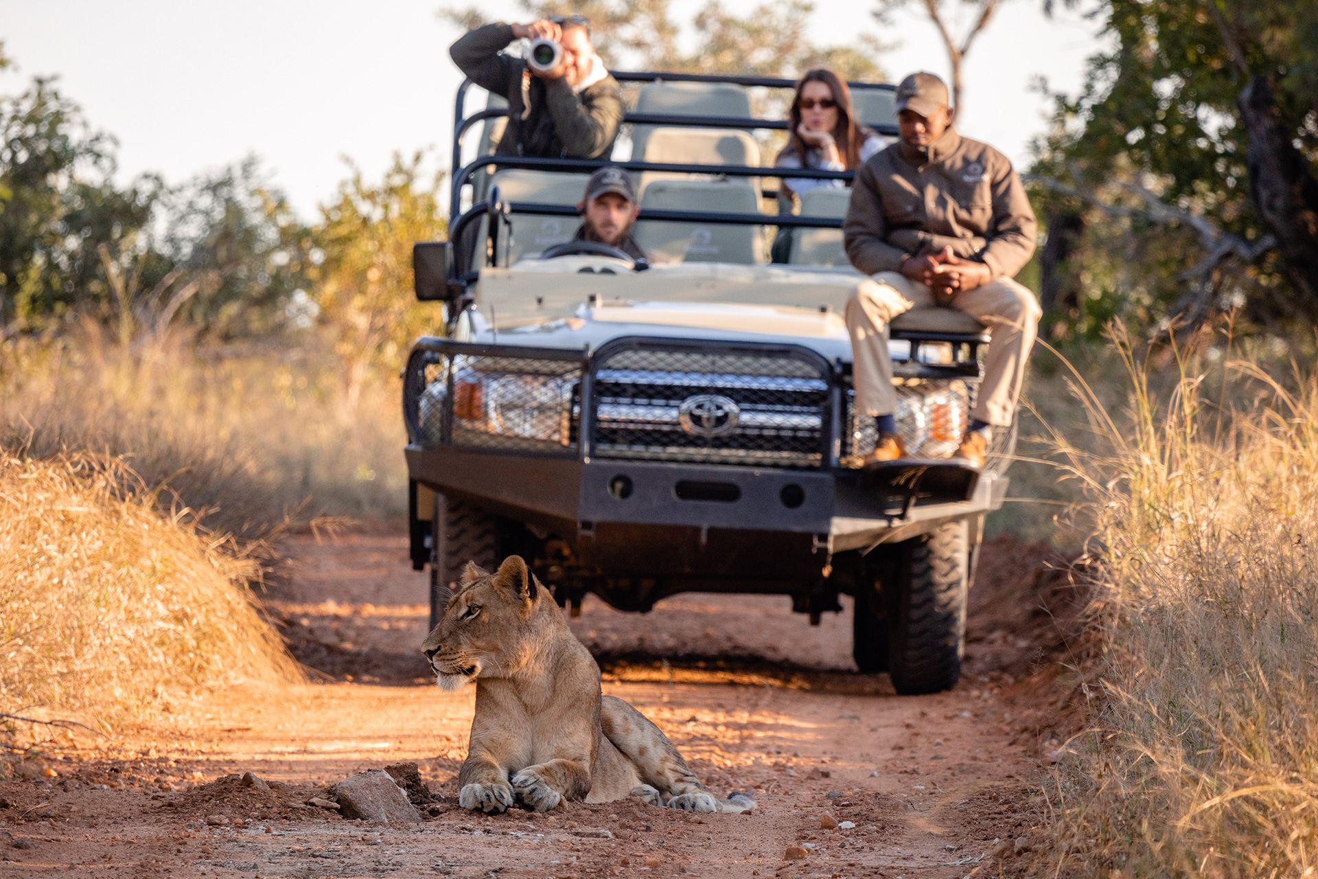 Safari guests observing a lioness resting on a dirt road from a 4x4 game vehicle during a guided drive in Kapama Private Game Reserve.