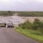 Lower Sabie River