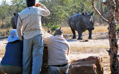 Walking the Big Five