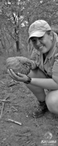 Pangolin