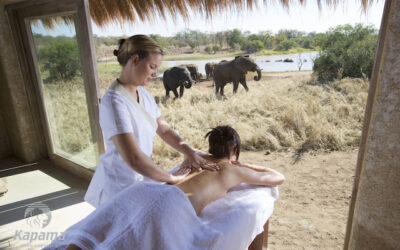 Spa Safari – A perfect combination
