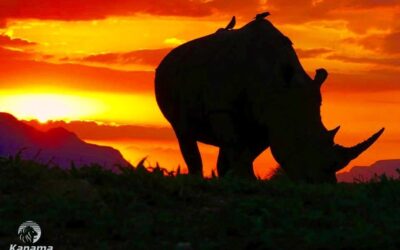As the sun sets on 2017…
