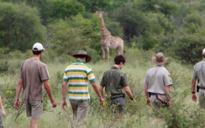 8 Reasons to take a Walk on the Wild Side