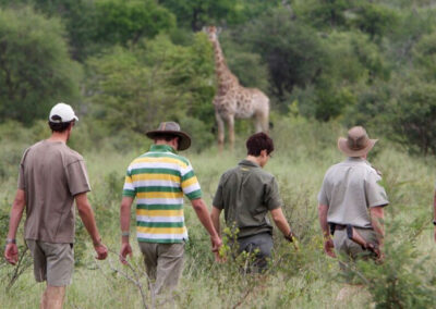 kapama bush walk