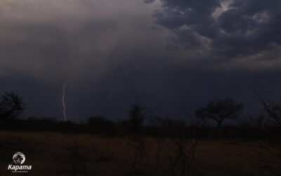 The Rain has come…