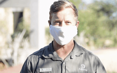 Masks and More