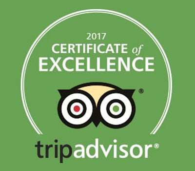 2017 Certificate of excellence