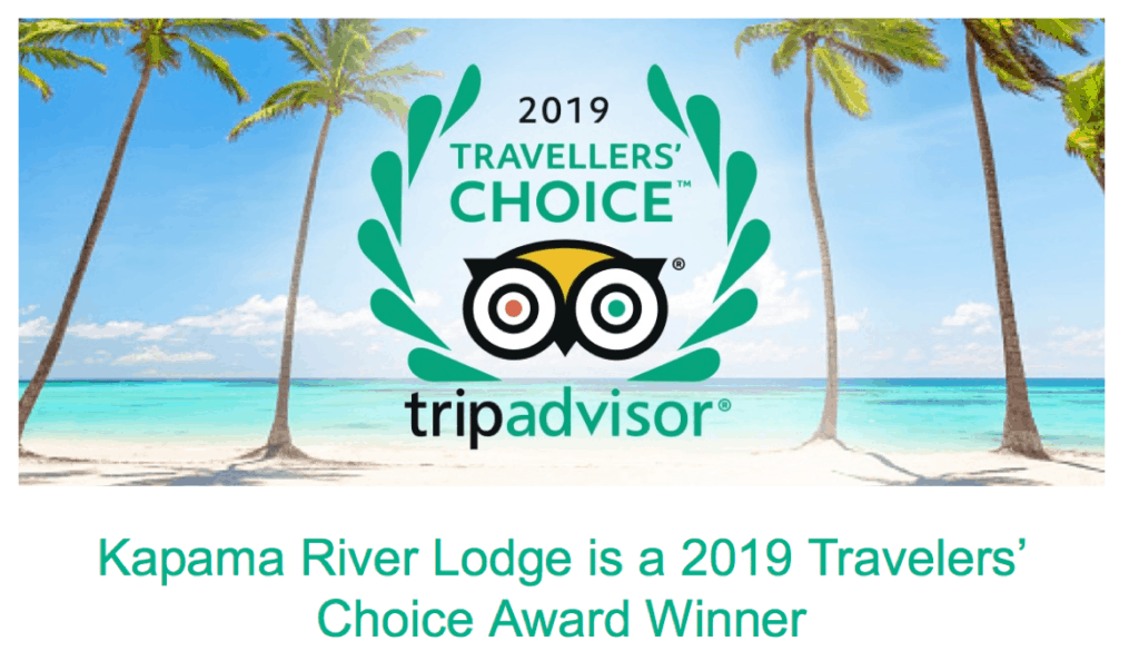 Travellers choice award