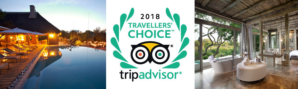 Kapama Game Reserve Tripadvisor Travellers choice