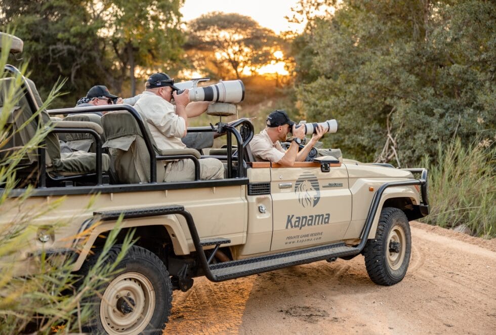 Gallery | Kapama Safari Lodges, Wildlife & Guest Moments