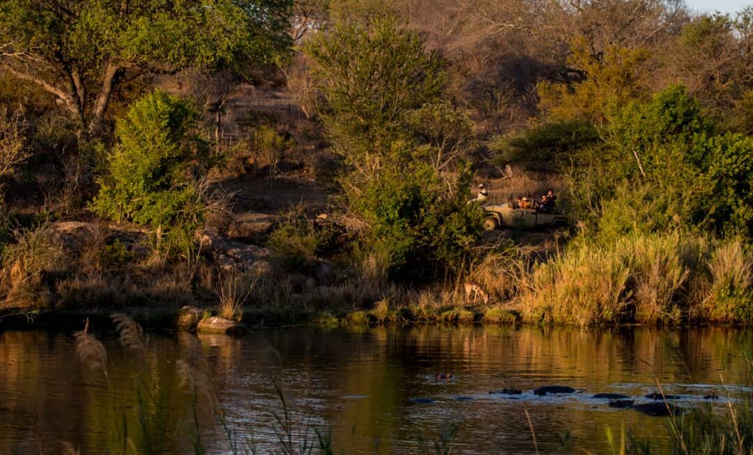 Kapama landscape sustainability