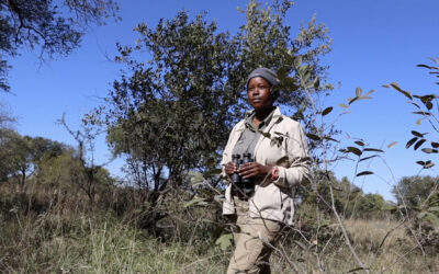 World Female Ranger Day
