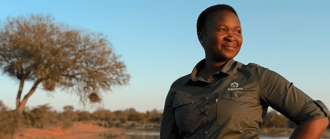 Kapama Queen field guide
