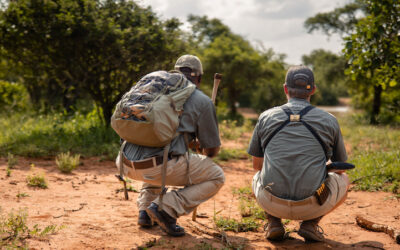 What it takes to become a trails guide