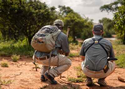 Two field guides crouched on a red sandy trail in Kapama Private Game Reserve, carefully analyzing wildlife tracks while navigating through the bush on foot.