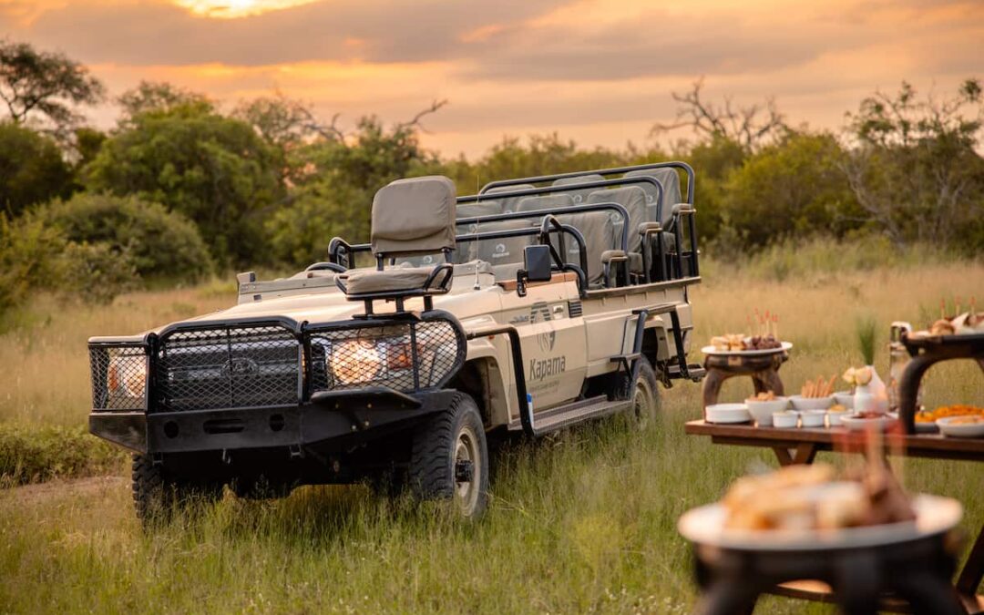 Kapama safari journal