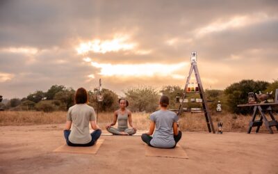 Embrace Tranquility: Sunrise Yoga in the Heart of the African Bush