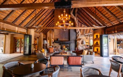 Kapama’s Luxury Lodges: Finding Your Perfect Safari Stay