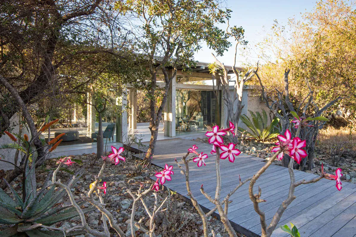 Kapama Karula Spa Walkway Entrance