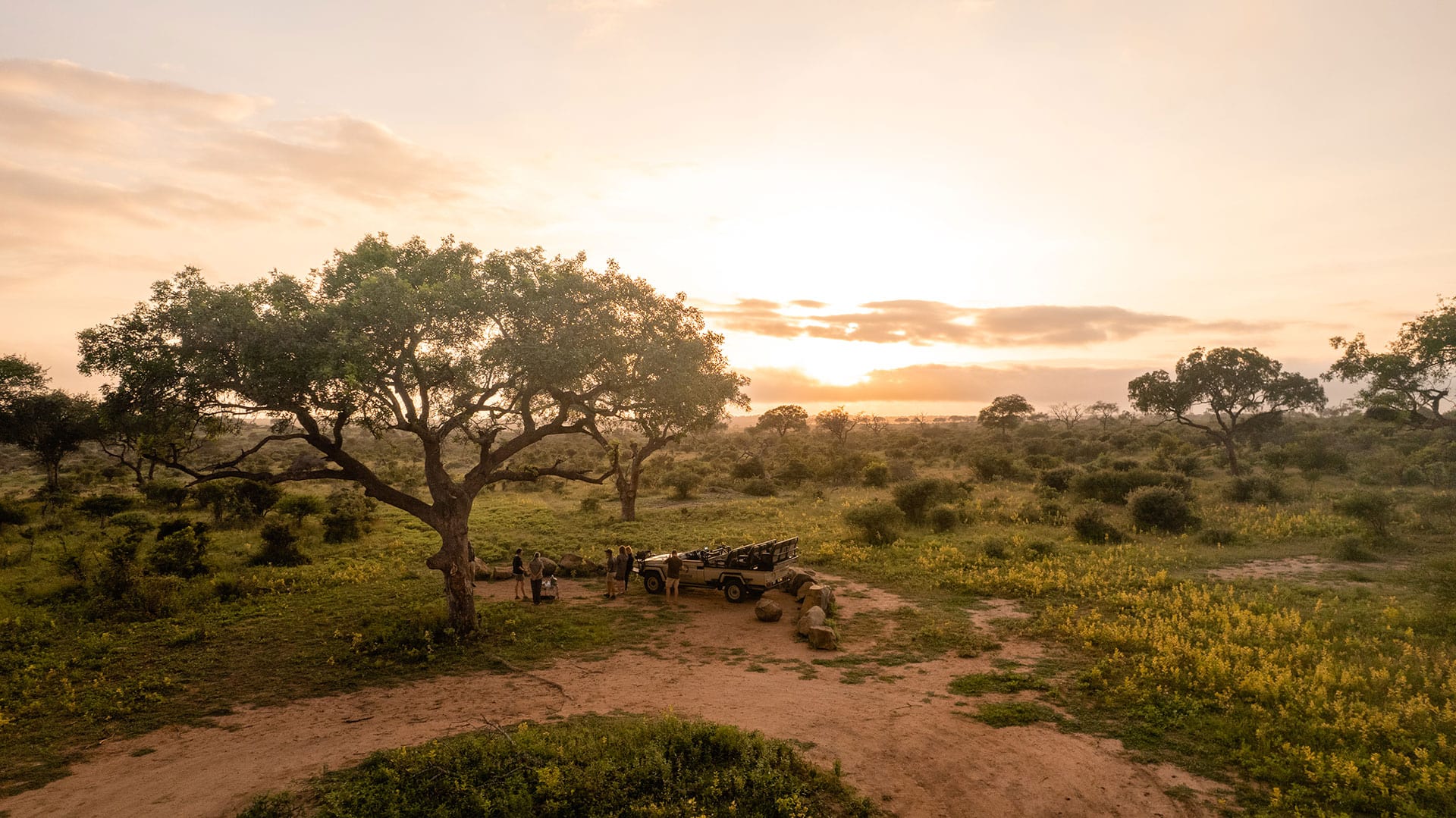 Bush Walks: Experiencing Kapama On Foot - Kapama Private Game Reserve