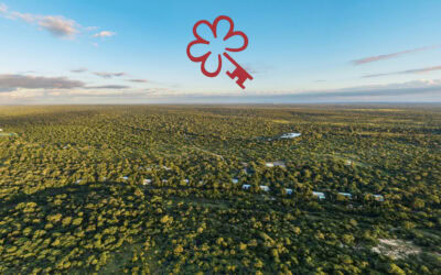 Kapama Karula Awarded a MICHELIN Key 2026 | Kapama Private Game Reserve